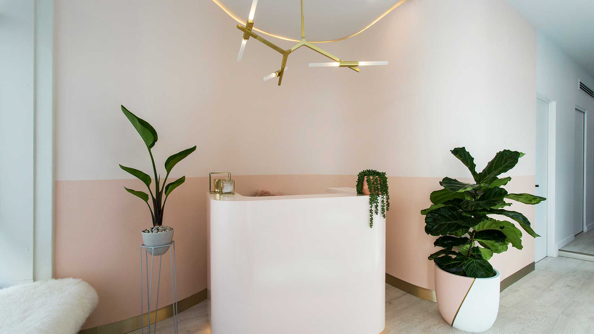 Laser Aesthetic Salon reception with a curved desk, blush walls and warm cove lighting